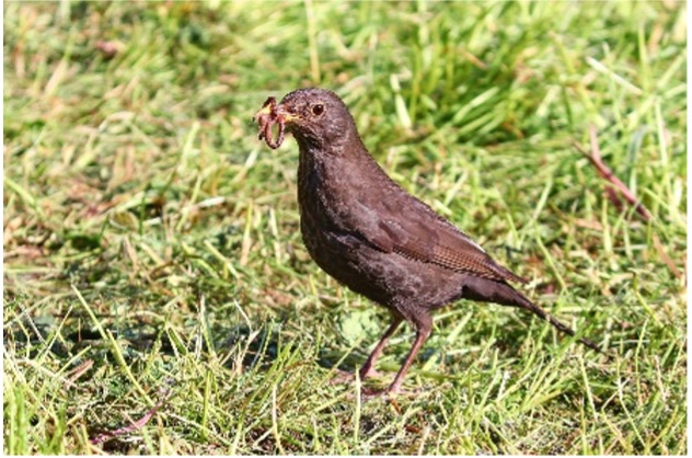 improve your pension